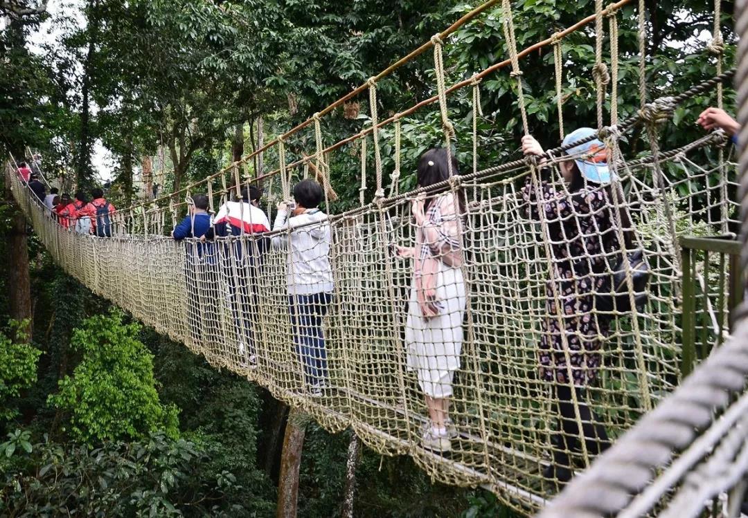 西雙版納研學