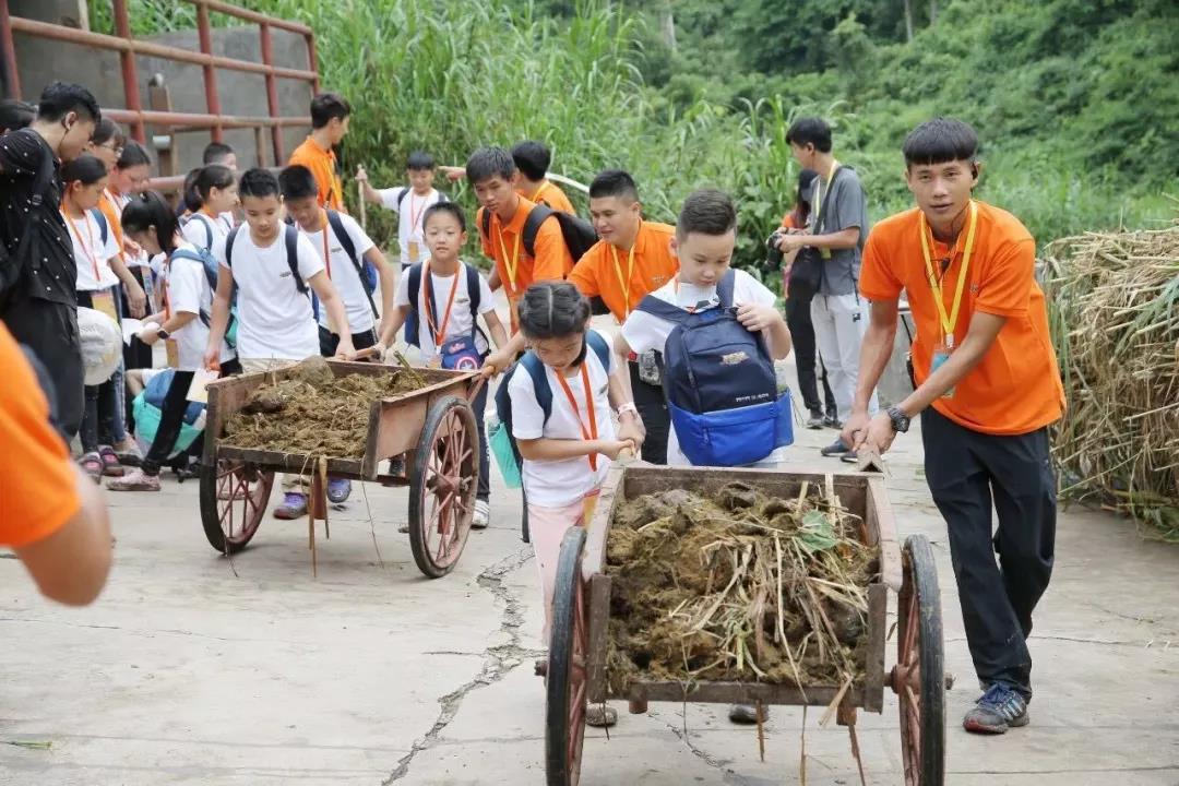 西雙版納研學夏令營
