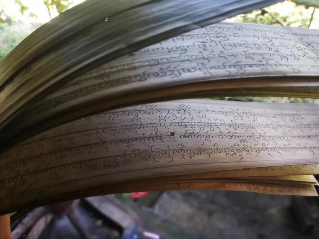 西雙版納研學夏令營