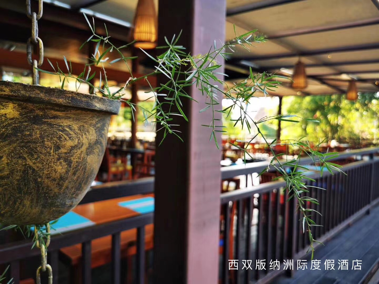 西雙版納洲際度假酒店會議預定