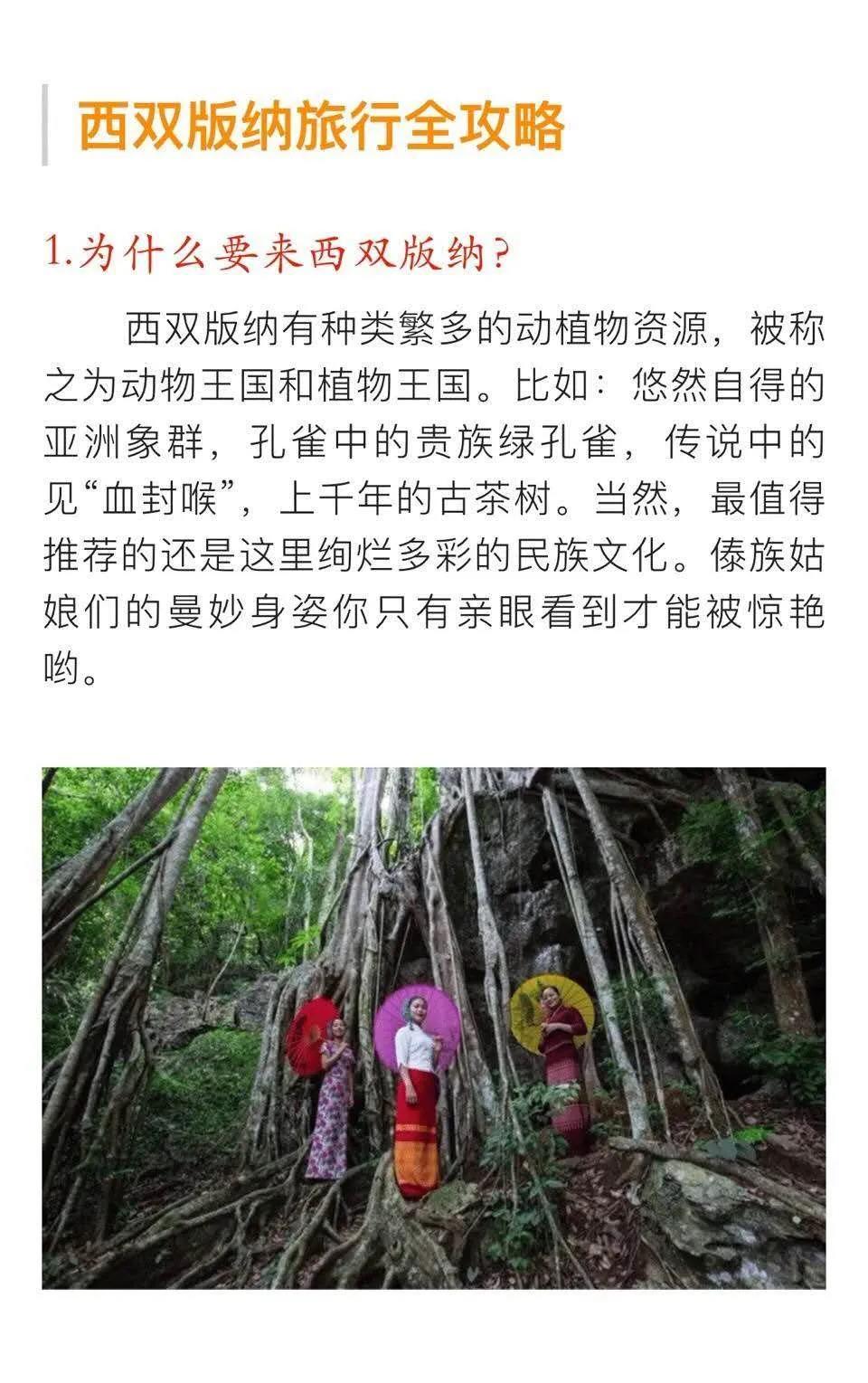 西雙版納