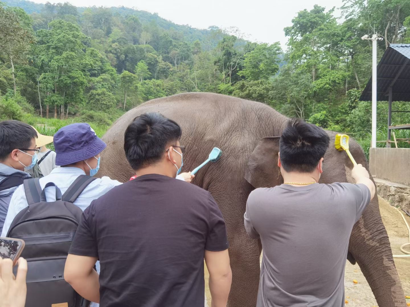 西雙版納旅行團建