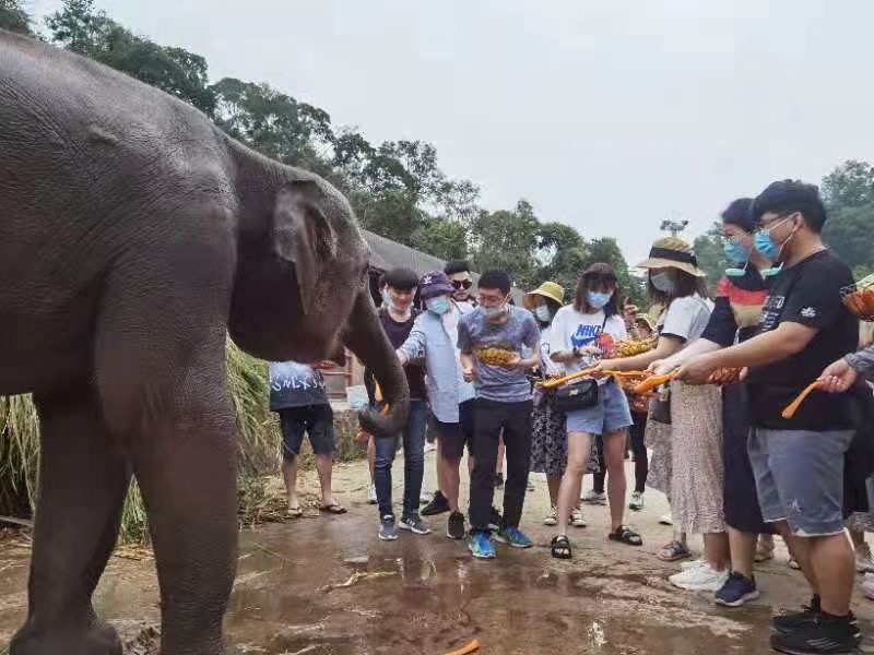 西雙版納旅行團建
