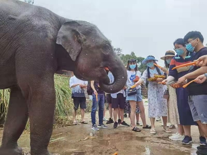 西雙版納旅行團(tuán)建
