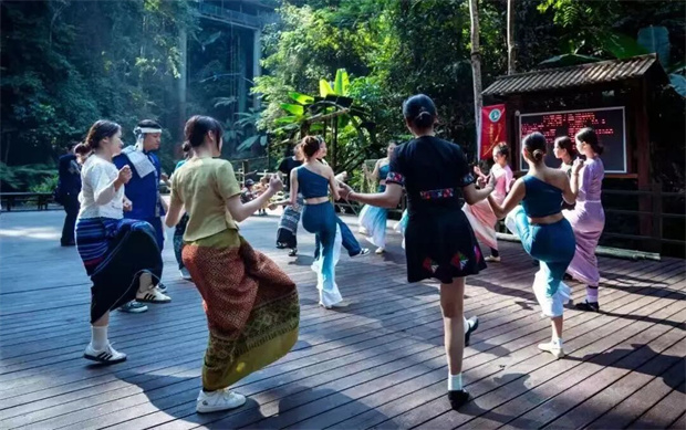 西雙版納旅游：從樹冠走廊到南臘河，把勐臘秘境裝進(jìn)一天